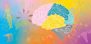 Thumbnail photo for 8th Annual WiDS Datathon Challenges: Unraveling the Mysteries of the Female Brain